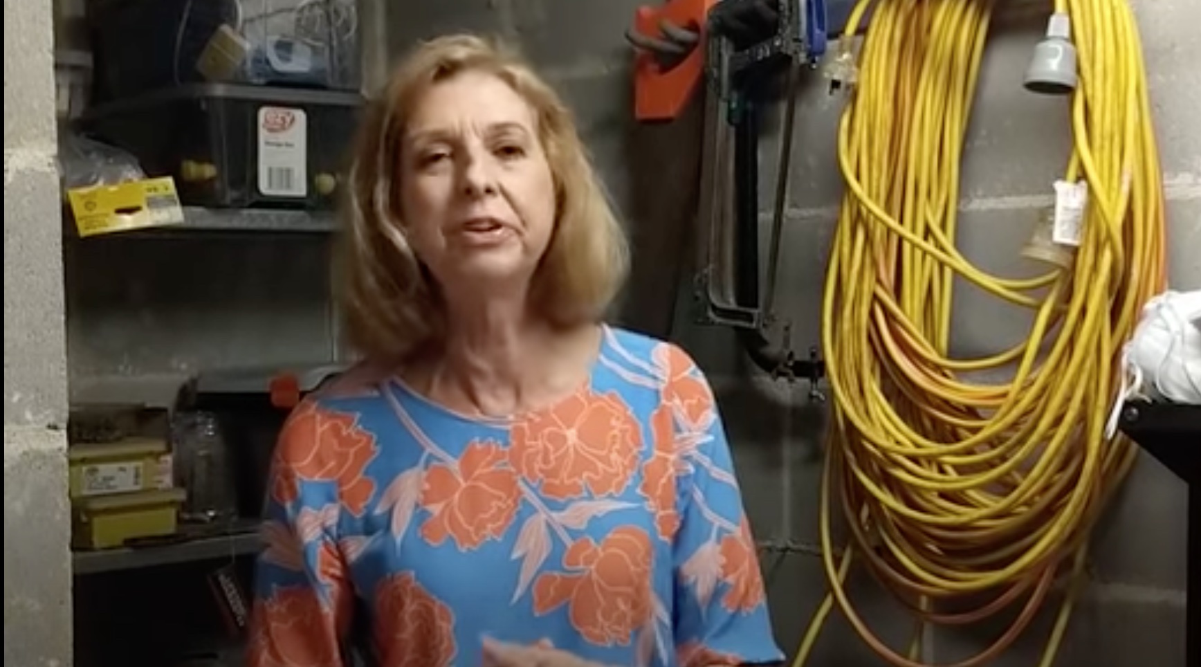 Australian TV personality Bettina Arndt