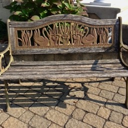 Rotted Bench